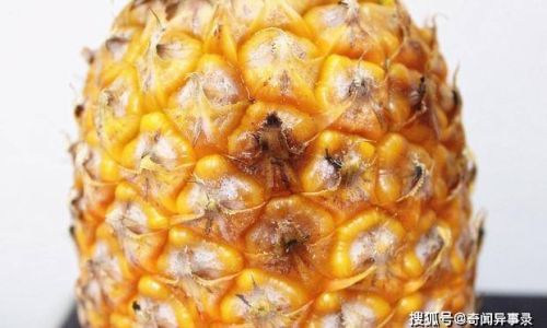 The Great Jackfruit Debate:Choosing Between Elongated and Round Varieties