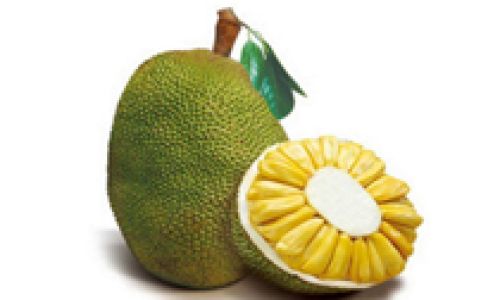 The Optimal Season for Enjoying Jackfruit:A Guide to Peak Flavor and Nutritional Benefits