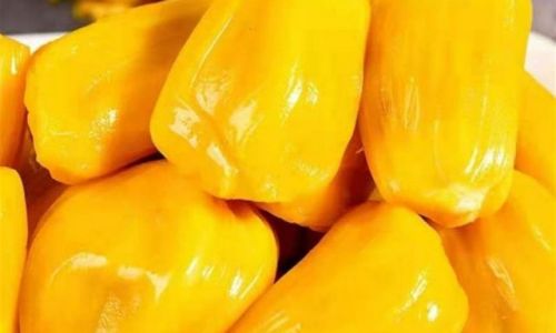 The Truth About Leaving Jackfruit Out Overnight:Food Safety Myths and Facts