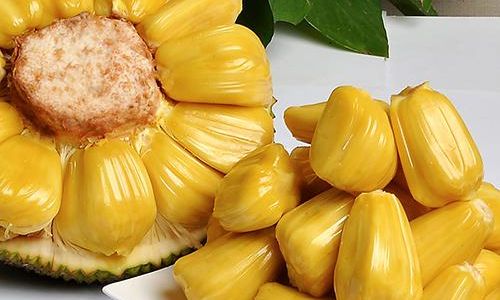 Is Sour Jackfruit Spoiled?Decoding the Taste,Ripeness,and Safety of This Tropical Giant