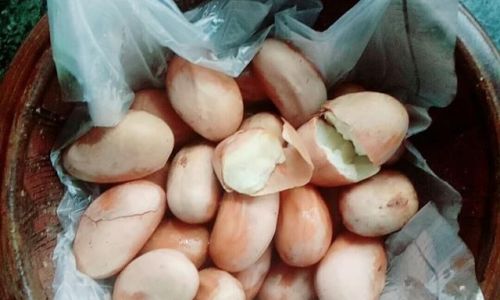 From Waste to Wonder:A Comprehensive Guide to Processing and Utilizing Jackfruit Seeds