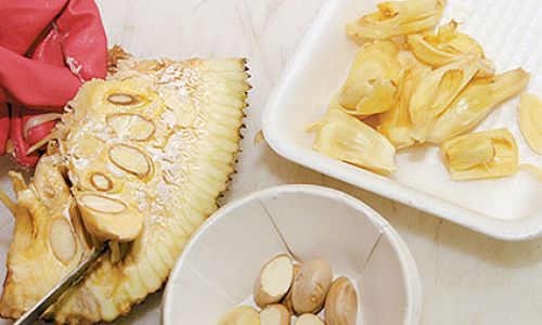 From Waste to Wonder:A Comprehensive Guide to Processing and Utilizing Jackfruit Seeds