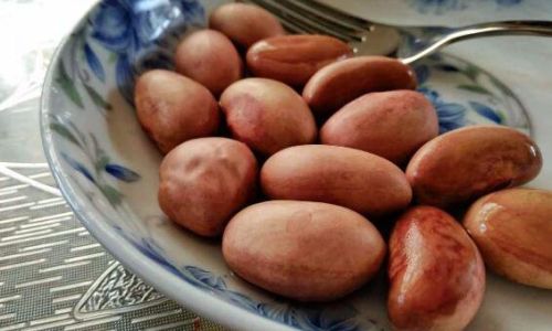 Delicious and Nutritious:Creative Ways to Prepare and Cook Jackfruit Seeds
