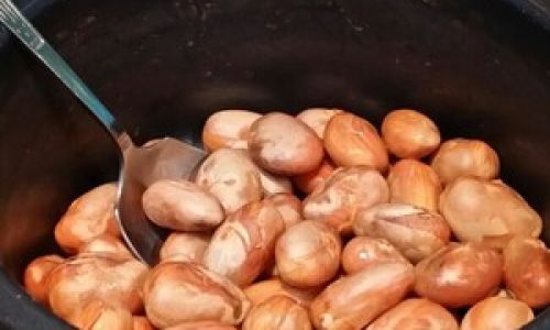 Delicious and Nutritious:Creative Ways to Prepare and Cook Jackfruit Seeds