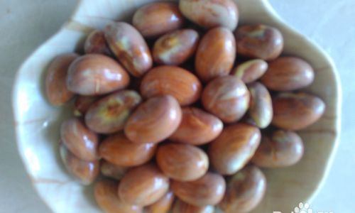 How to Prepare Nourishing Jackfruit Seed Soup:A Step-by-Step Guide to Flavor and Nutrition