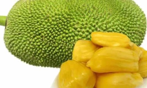How to Store Leftover Jackfruit:Tips and Tricks for Longevity and Flavor Preservation