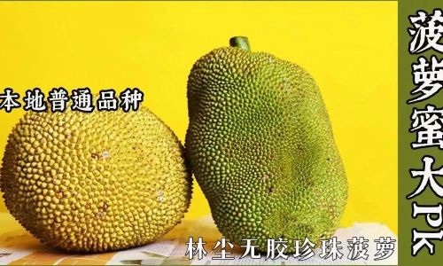 Mastering the Art of Jackfruit Peeling:Expert Tips for a Stick-Free Experience