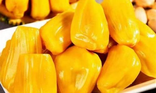 The Ultimate Guide to Preserving Jackfruit:Tips and Techniques for Long-Lasting Freshness
