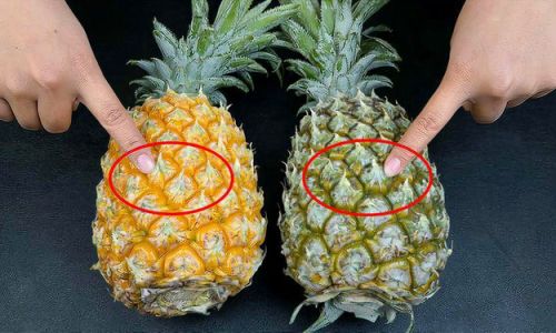 The Anatomy of a Pineapple:Unraveling the Mystery of What Part We Actually Eat