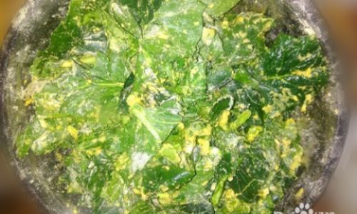 Mastering the Art of Preparing Spinach Seeds:A Comprehensive Guide