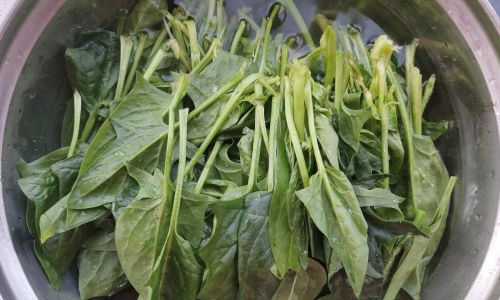 Mastering the Art of Preparing Spinach Seeds:A Comprehensive Guide