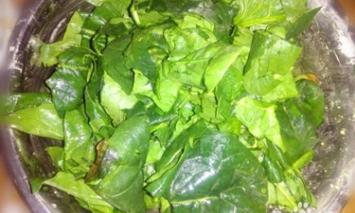 Mastering the Art of Preparing Spinach Seeds:A Comprehensive Guide