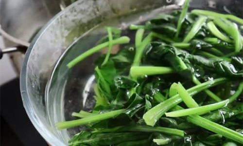 Mastering the Art of Cooking Spinach:Delicious and Nutrient-Rich Recipes for Every Palate