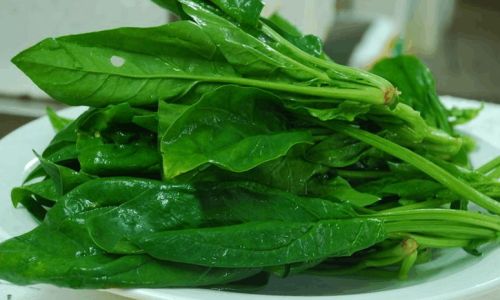 Mastering the Art of Cooking Spinach:Delicious and Nutrient-Rich Recipes for Every Palate