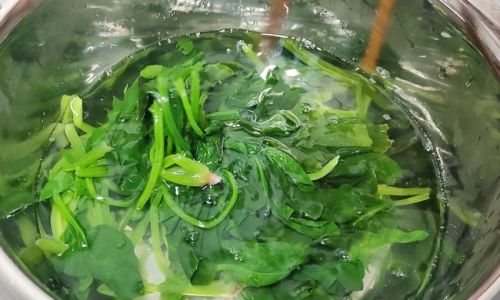 Mastering the Art of Cooking Spinach:Delicious and Nutrient-Rich Recipes for Every Palate