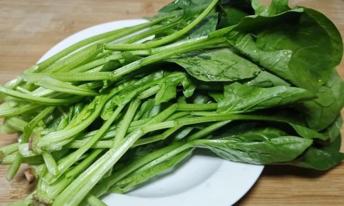 Mastering the Art of Cooking Spinach:Delicious and Nutrient-Rich Recipes for Every Palate