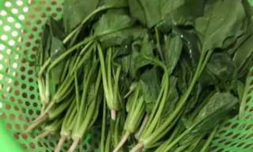 Mastering the Art of Cooking Spinach:Delicious and Nutritious Recipes for Every Palate