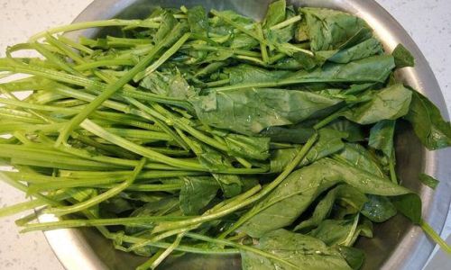 How Long to Boil Spinach for Fish:A Comprehensive Guide to Safe and Nutritious Feeding