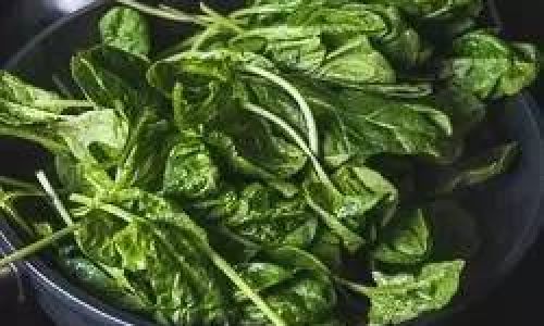 How Long to Boil Spinach for Fish:A Comprehensive Guide to Safe and Nutritious Feeding