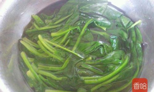 Mastering the Art of Crafting Irresistibly Delicious Spinach Meatballs:A Comprehensive Guide