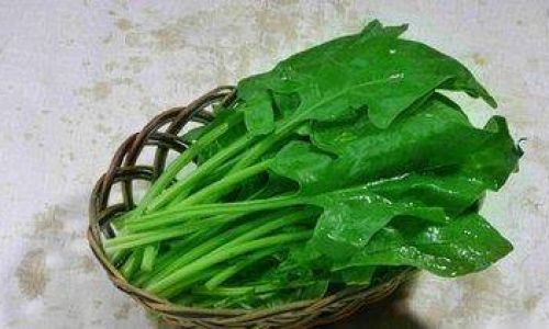 Unlocking the Full Potential:Mastering the Art of Spinach Consumption for Optimal Health and Flavor