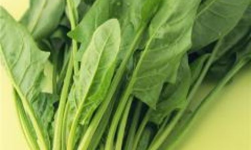 Exploring the Diverse World of Spinach:Common Types and Varieties