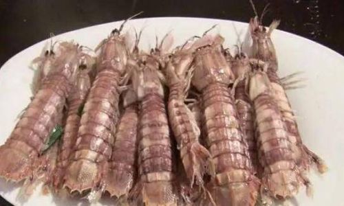 Mastering the Art of Peeling Mantis Shrimp:Expert Tips and Tricks for a Hassle-Free Experience