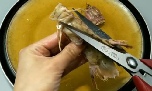 Mastering the Art of Peeling Mantis Shrimp:Expert Tips and Tricks for a Hassle-Free Experience