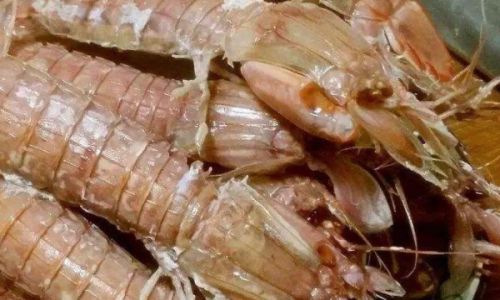 Mastering the Art of Peeling Mantis Shrimp:Expert Tips and Tricks for a Hassle-Free Experience