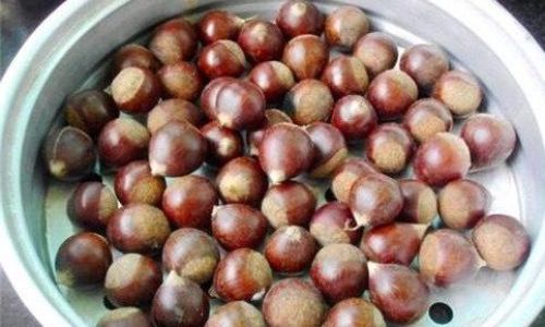 Understanding the Composition of Chestnut Kernels