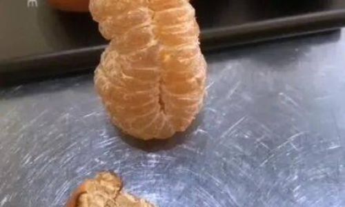 Understanding the Composition of Chestnut Kernels