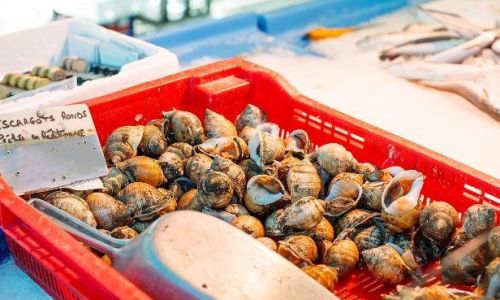 Mastering the Art of Cooking Shelled Snails:A Comprehensive Guide to Perfect Doneness