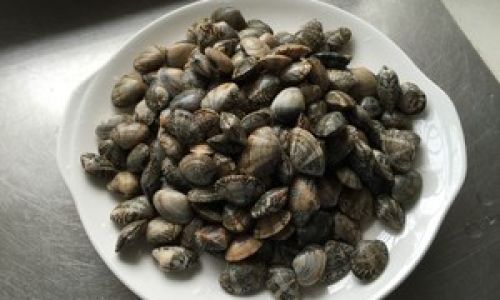 Mastering the Art of Cooking Shelled Snails:A Comprehensive Guide to Perfect Doneness