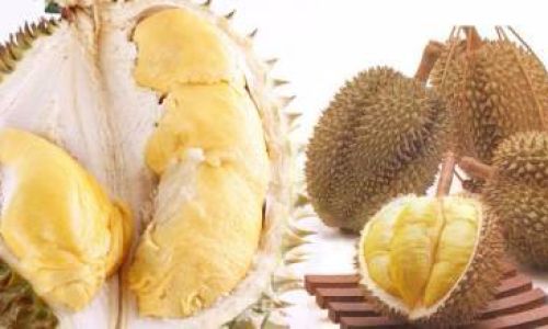 Maximizing Freshness:How Long Does Peeled Durian Last in the Refrigerator?