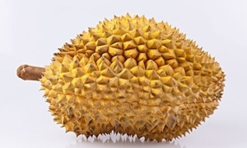 Maximizing Freshness:How Long Does Peeled Durian Last in the Refrigerator?