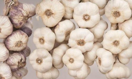 The Ultimate Guide to Storing Peeled Garlic:Tips and Tricks for Long-Lasting Freshness