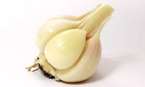 The Ultimate Guide to Storing Peeled Garlic:Tips and Tricks for Long-Lasting Freshness