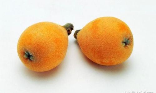 The Ultimate Guide to Preserving Peeled Loquat Flesh:Methods,Tips,and Longevity