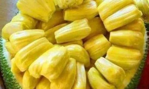 Should You Refrigerate Peeled Jackfruit?A Comprehensive Guide to Storage and Freshness