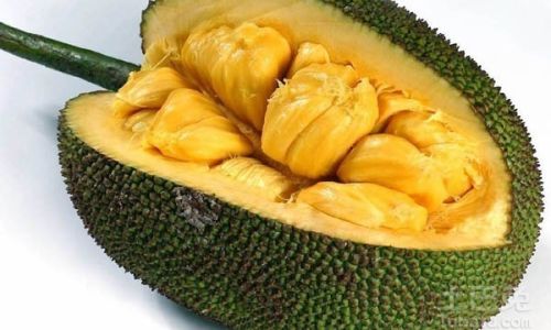 Should You Refrigerate Peeled Jackfruit?A Comprehensive Guide to Storage and Freshness