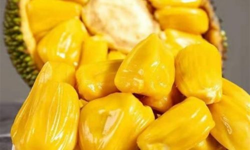 Should You Refrigerate Peeled Jackfruit?A Comprehensive Guide to Storage and Freshness