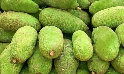 Should You Refrigerate Peeled Jackfruit?A Comprehensive Guide to Storage and Freshness