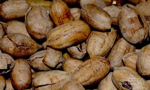 Mastering the Art of Shelling Pecans:Techniques,Tips,and Tricks for Perfect Results Every Time
