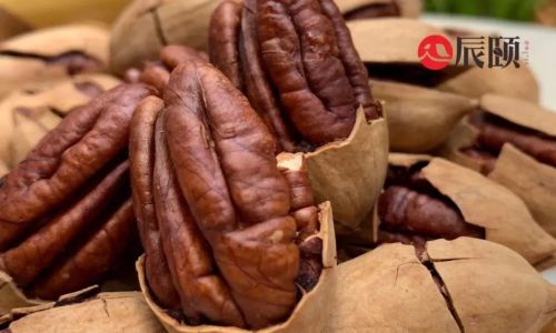 Mastering the Art of Shelling Pecans:Techniques,Tips,and Tricks for Perfect Results Every Time