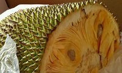The Anatomy of Jackfruit:Beyond the Fleshy Bulbs