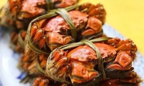 Mastering the Art of Steaming Boston Lobster:Perfect Timing for Tender,Juicy Results