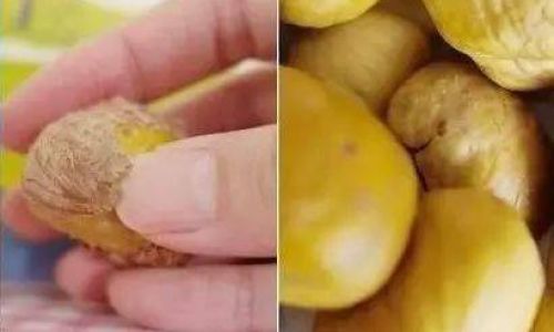 Mastering the Art of Boiling Peeled Chestnuts:A Comprehensive Guide to Perfect Cooking Times
