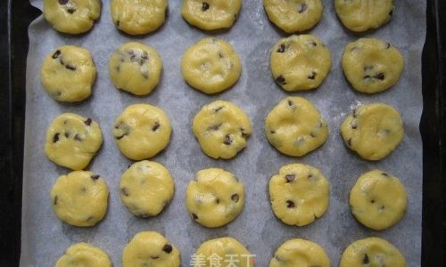 The Art and Science of Cookie Making:A Comprehensive Guide to Crafting Perfect Treats
