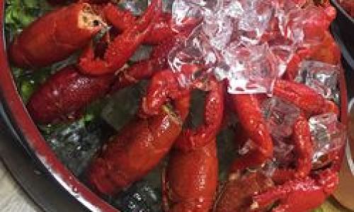Mastering the Art of Chilled Shrimp:A Guide to Preparing Refreshing and Flavorful Delights