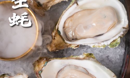 The Ultimate Guide to Preparing and Serving Chilled Oysters:A Gourmet Experience at Home